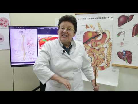 What harms the pancreas? And what improves its function? [Shishova O.I.]