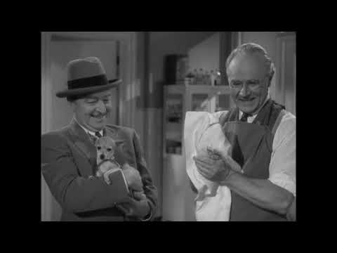 "The Perfect Snob" with Lynn Bari & Cornel Wilde & Charlie Ruggles & Charlote Greenwood