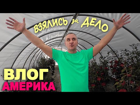 Ох уж эти МИНУСЫ Южной Каролины! Много планов, беремся за дело / Будем все доделывать и переделывать