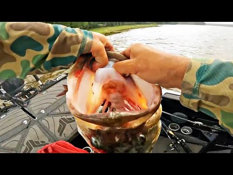 The Biggest Bass in 35+ Years of Fishing