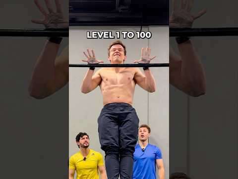 Pullups Level 1 To 100
