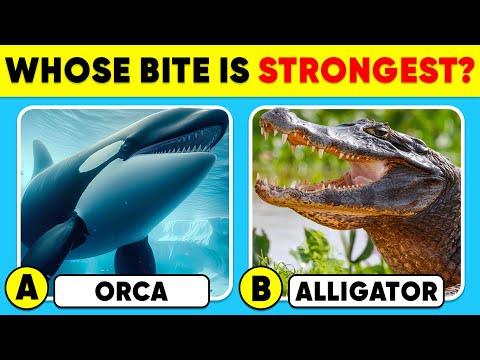 How Well Do You Know ANIMALS? ππ¦β
π§ General Knowledge Trivia Quiz