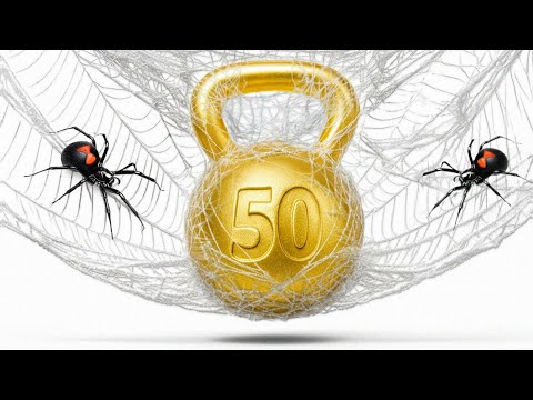 How Much Weight Can a Spider Web Hold?