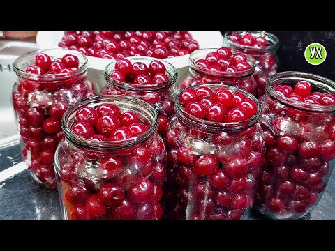Вишня на зиму БЕЗ САХАРА! Самый простой рецепт, даже банки не стерилизую.