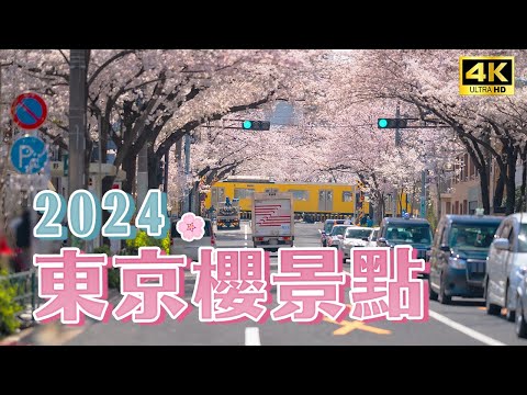2024 Tokyo Cherry Blossoms | 3 Classic Cherry Blossom Viewing Spots Selected