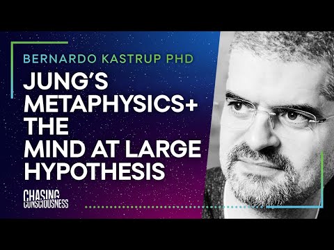 JUNG'S METAPHYSICS & THE MIND AT LARGE HYPOTHESIS - Bernardo Kastrup PHD #34