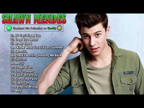 숀 멘데스노래 모음 고음질 듣기