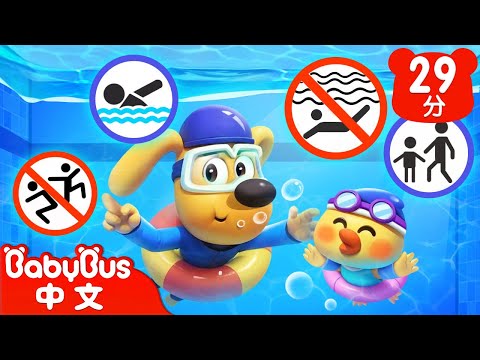 泳池安全 | 捉拿雞大盜 | 車車 | 動畫 | Kids Cartoon | 安全教育 | 安全警長啦咘啦哆 Sheriff Labrador | 寶寶巴士 BabyBus