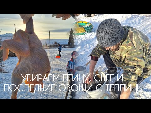 The house has become dry and is letting in cold. We'll fix the problem the easy way. Let's create...