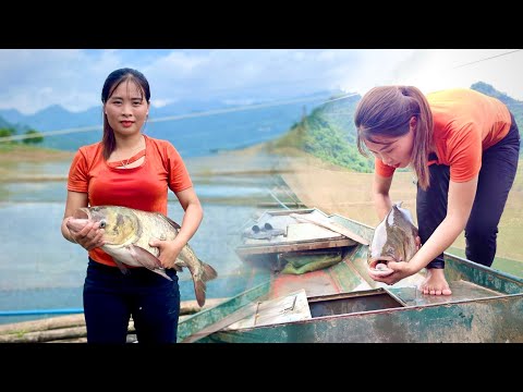 Catching fish, the unique way of catching fish of a girl living on an island, Living off grid