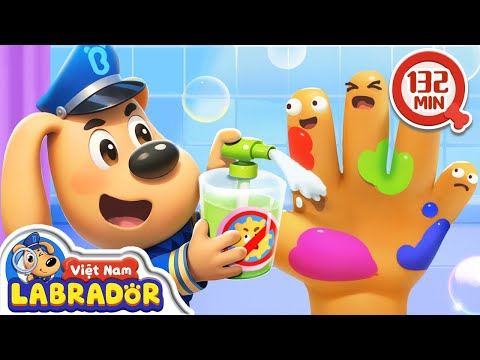 🧼 Cùng cảnh sát trưởng rửa tay sạch sẽ 👮 Cảnh sát trưởng Labrador Vietnam 🚔
