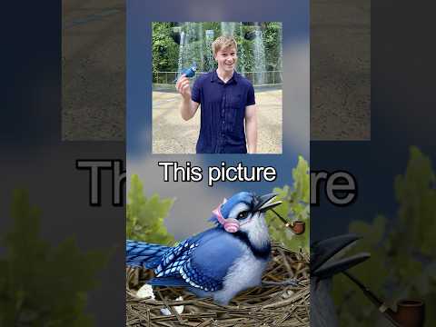 My embarrassing encounter with Robert Irwin