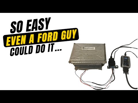 Simple LS Bench Harness