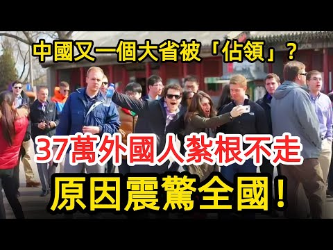 中國又一個「大省」被「佔領」？ 37萬外國人紮根不走，原因震驚全國！ #中国