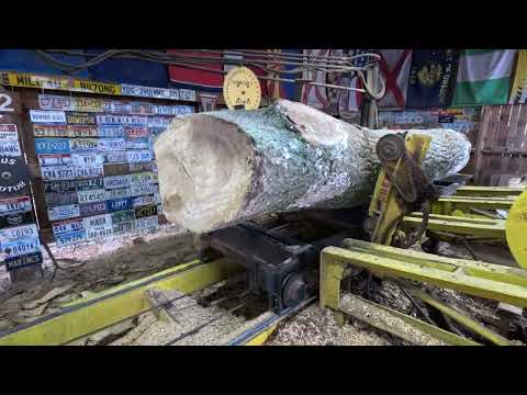 sawing one ugly oak log into trailer decking # 647