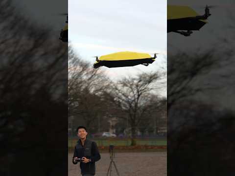 Probably the dumbest thing I’ve ever made…