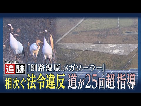 釧路湿原メガソーラー問題　法令違反が相次ぎ発覚　道の行政指導25回超の“異常事態”　希少生物に影響は？