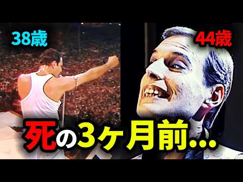 The man with the divine singing voice, Freddie Mercury, and the special bond between him and the ...