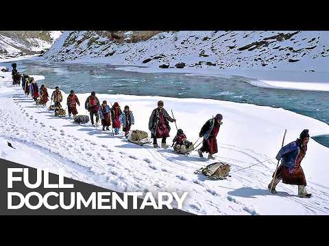 The Ice Walkers: Surviving on the Frozen Zanskar River | Free Documentary