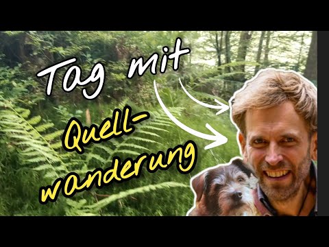 Ein Tag im Aussteigerleben: Waldwandern zur Quelle, Hausreparaturen, Kochen