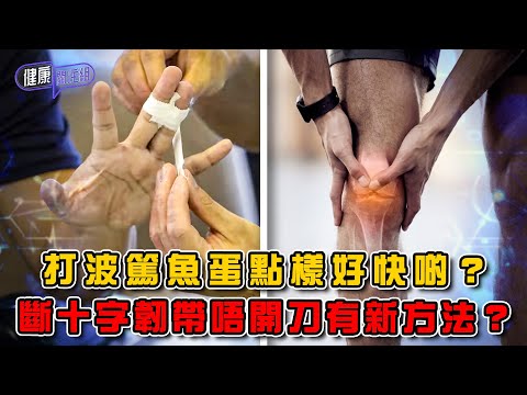 打波篤魚蛋點樣好快啲？斷十字韌帶唔開刀有新方法？｜ 健康關注組 ｜ EP428 ｜ 手指肌腱受損 ｜ 十字韌帶撕裂 ｜ 半月板斯裂 ｜ 朱智賢 ｜ 吳雲甫 ｜ HOY TV 77台