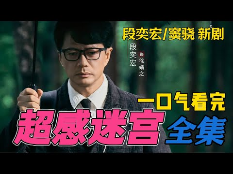 段奕宏窦骁冲破黑暗迷局 一口气看完《超感迷宫》全集 1-20集大结局