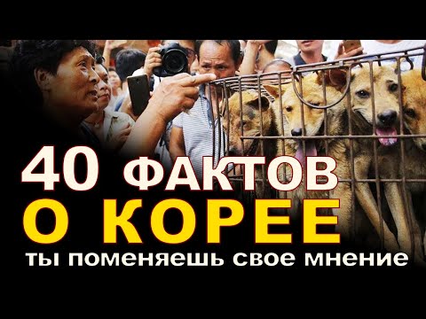 40 ИНТЕРЕСНЫХ фактов о ЮЖНОЙ КОРЕЕ, которые могут шокировать !