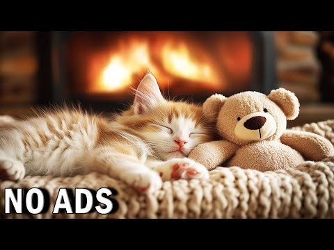 Calming Music For Cats 🎶 Peaceful Piano For Feline Relaxation & Stress Relief