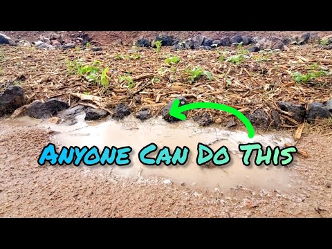 The High Desert Hack Turning Runoff Into Green Pastures
