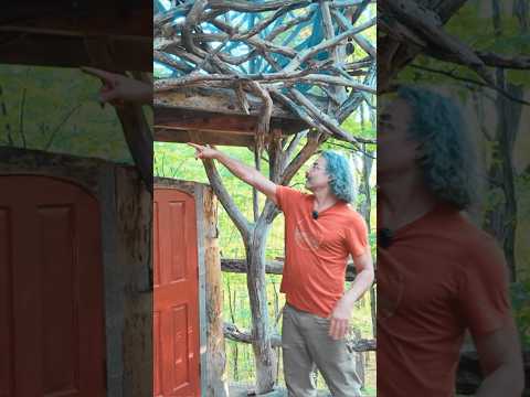 He Builds Free Houses From Twigs and Branches