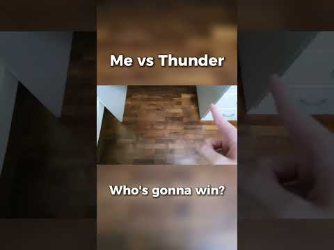 Man Vs Thunder #fyp #shorts