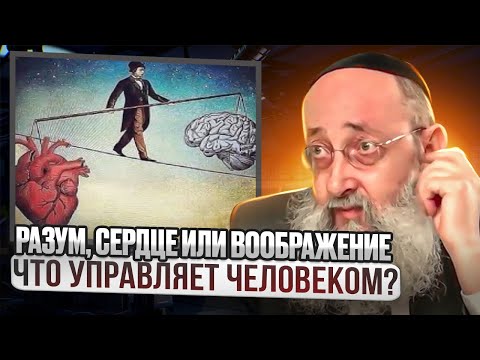 Разум, сердце или воображение. Что управляет человеком? Рав Ашер Кушнир