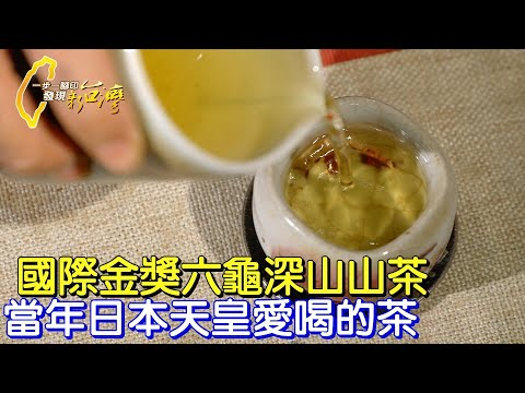 【六龜】長在深山裡的茶. 原本乏人問津的山茶.變成紅到國際的茶金∣一步一腳印【六龜深山裡的山茶金】20220320