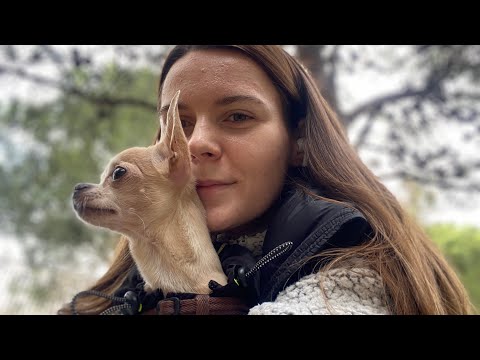 Наша жизнь в Испании январь 2024 | Как тут жить? Все про: цены, аренду, еду, работу и изучение языка