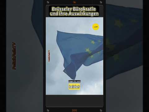 Brüsseler Bürokratie und ihre Auswirkungen #shortsfeed #geldpolitik #politikfailstv #hanswernersinn