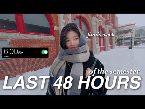 48 HOUR STUDY VLOG | last 48 hours of the semester (realistic college finals week)