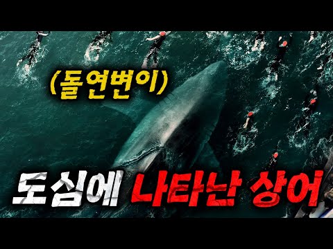 8미터 돌연변이 상어 수백마리가  도심을 집어삼키는 초대형 스릴러🦈 [스릴러영화/결말포함]