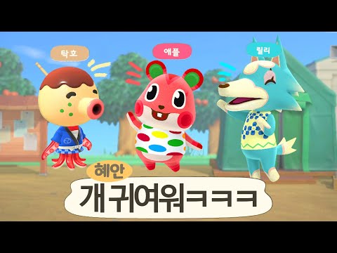 혜안 동물의숲 섬에 새로운 주민이 이사 왔습니다!