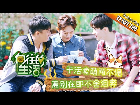 《向往的生活》第14期 温情收官！黄磊何炅刘宪华不舍告别 Back to field S1 EP14【芒果TV生活风尚频道】