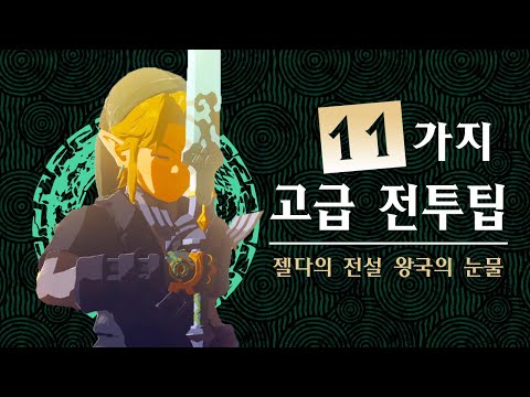 젤다의 전설 티어스 오브 더 킹덤 고급 전투 팁 11가지
