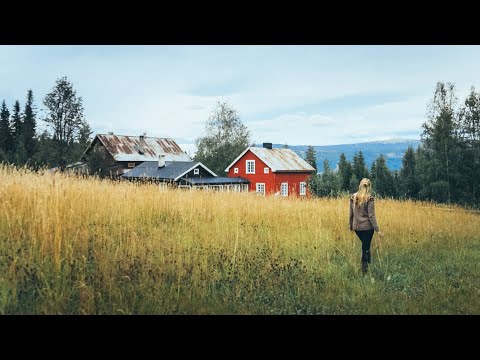 Preparing for Horses at our Forest Farm | #04 Farm Diaries