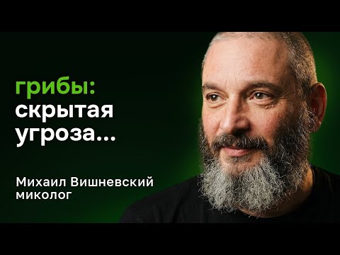 Тайна грибов: микродозинг, мухоморы, ежовик и грибы-убийцы — Михаил Вишневский, миколог