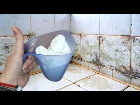 ПЛЕСЕНЬ ИСЧЕЗАЕТ БЕЗ ТРУДА! ВОТ ЭТО ДА #совет плесени и грибка больше нет