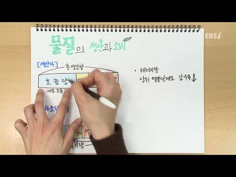 물질의 생산과 소비 | 가볍게 공부하는 박소현의 생명과학 스케치북, 개정 생명과학, 노트필기, 문제풀이 | EBSi 고교강의