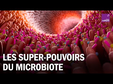Comment le microbiote agit-il sur notre santé ?