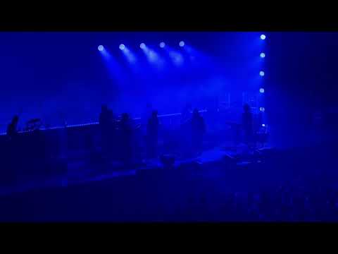 20250223 落日飛車 X HYUKOH 我是一隻魚