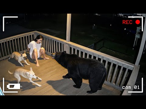 Security Cams Caught The Most UNHINGED Moments of 2025