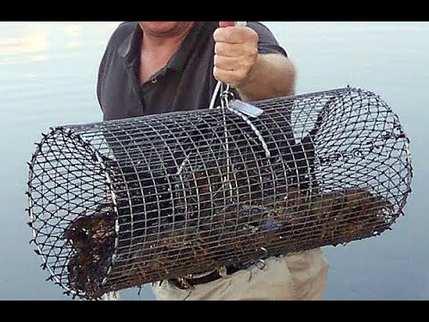 Раколовка своими руками