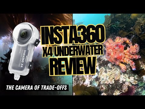 Insta360 X4 Underwater Review: Worth the Learning Curve | PNW Samson