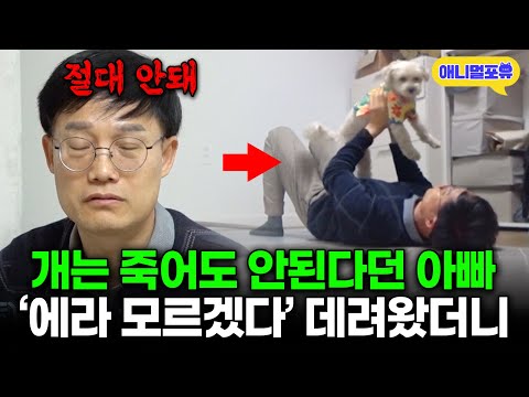 "개는 절대 안돼!!!" 무조건 반대하던 아빠, 강아지 보자마자 ㅋㅋㅋㅋㅋ  I KBS 개는 훌륭하다 230327 방송